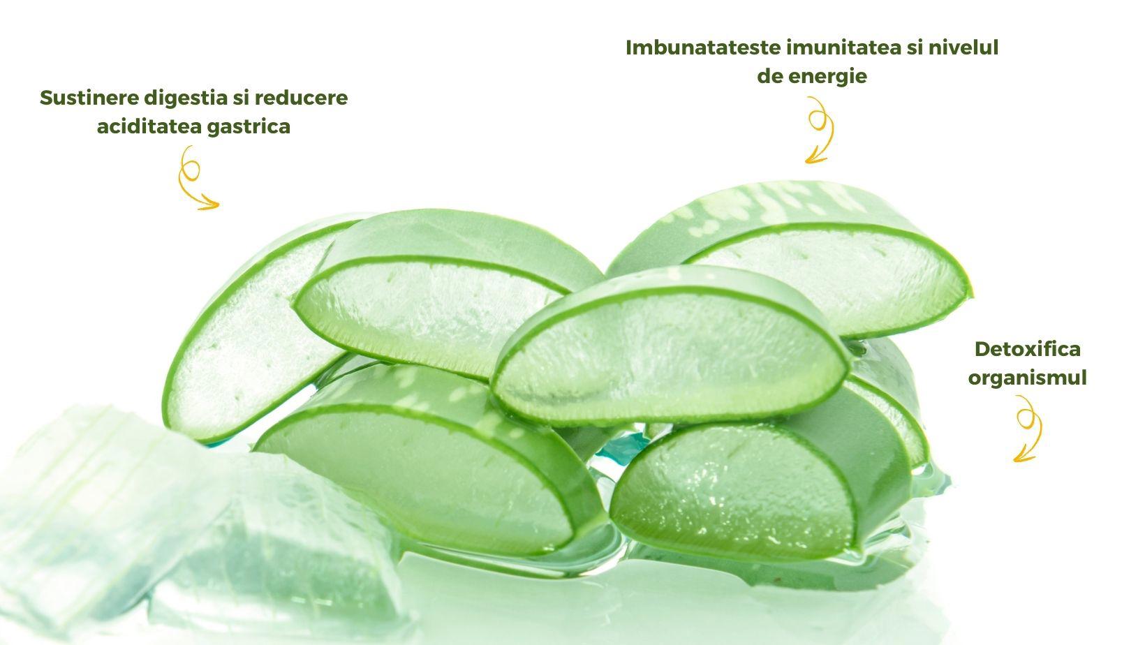 Gelul de Aloe Vera
