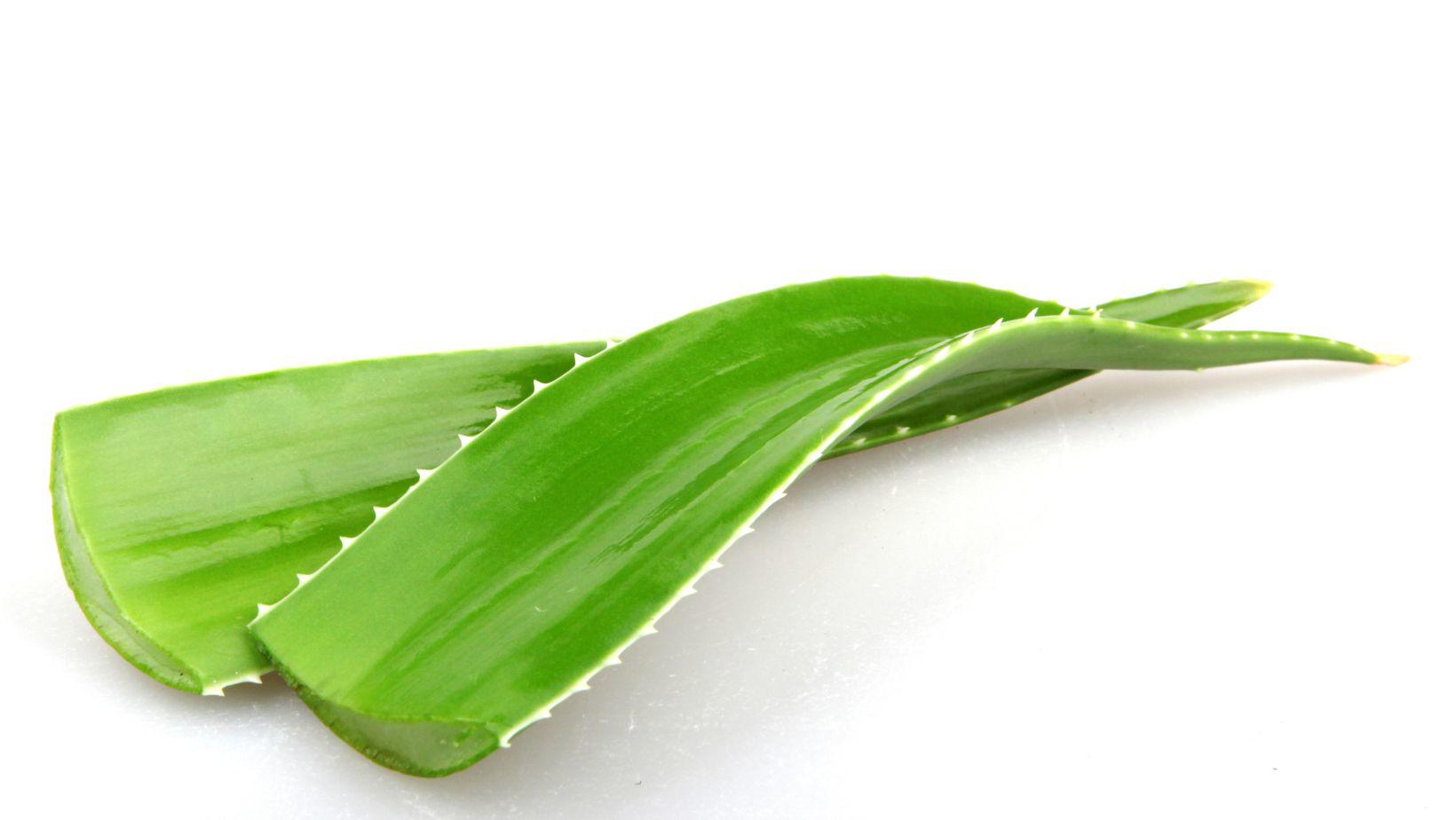Gelul de Aloe Vera