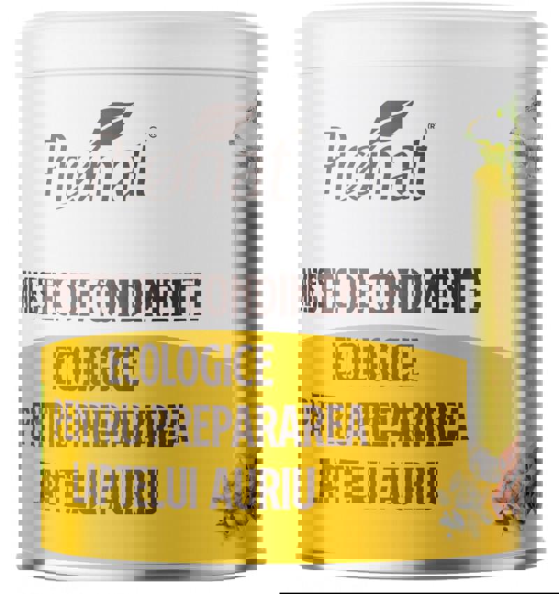 Amestec de Condimente pentru Prepararea Laptelui Auriu Eco 100 grame Pronat