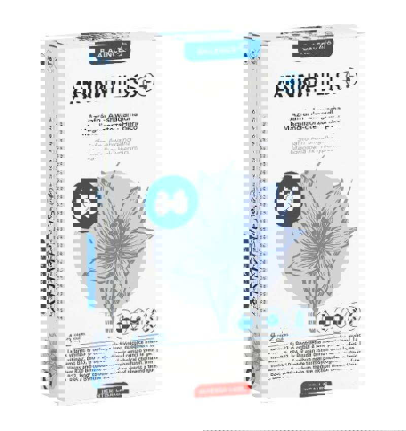 Animplus 42 capsule Intersa Labs