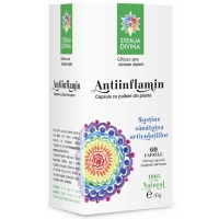 Antiinflamin 500mg Santo Raphael 60cps