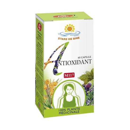 Antioxidant M117 60 capsule Fares