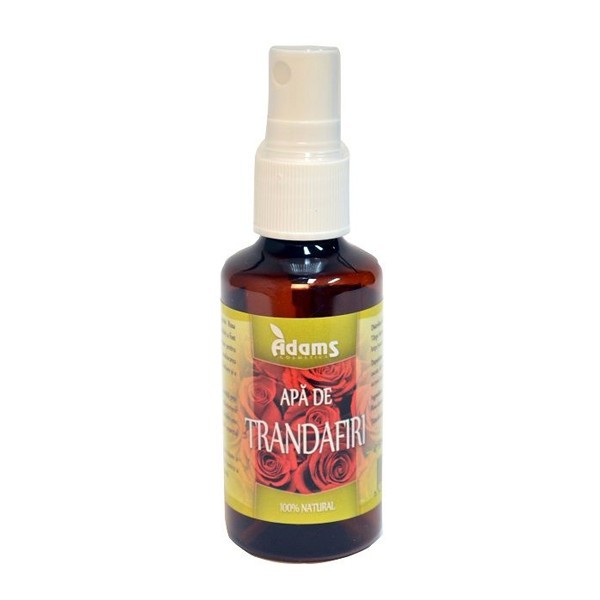 Apa de Trandafiri Adams Vision 100ml