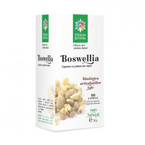 Boswellia 60 capsule Santo Raphael