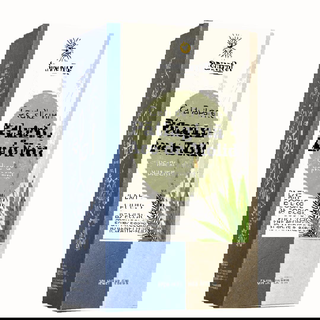 Ceai Patlagina - Ace de Molid Eco 18 plicuri Sonnentor