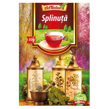 Ceai Splinuta Iarba Adserv 50gr