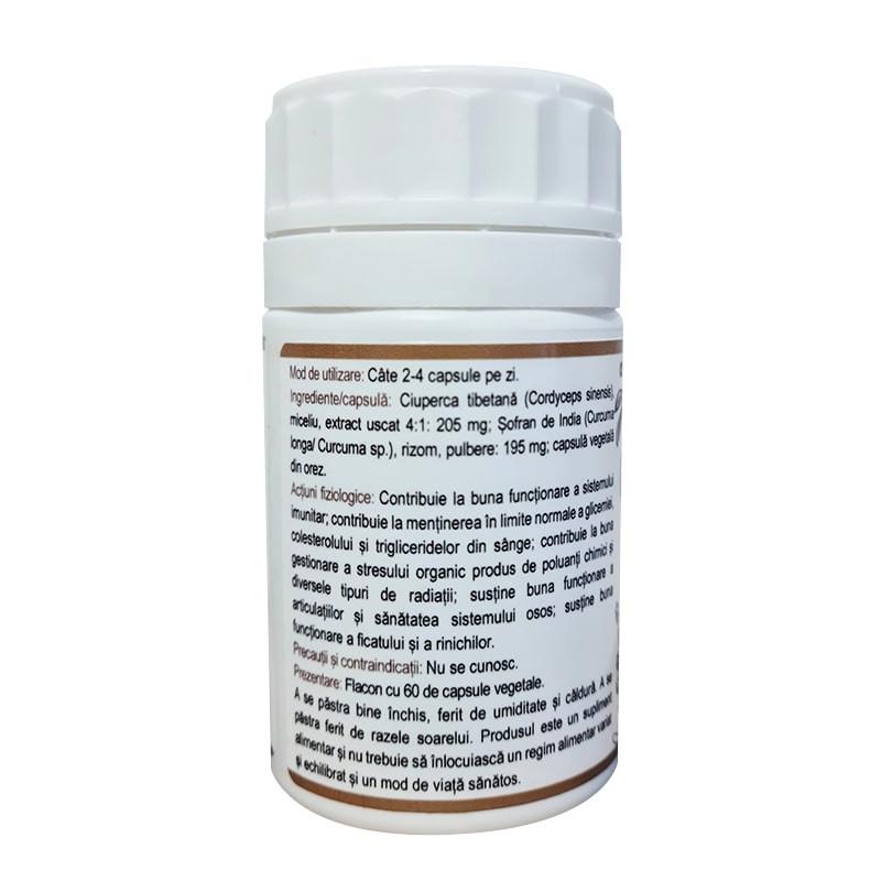 Ciuperca Tibetana 60cps Paradisul Verde