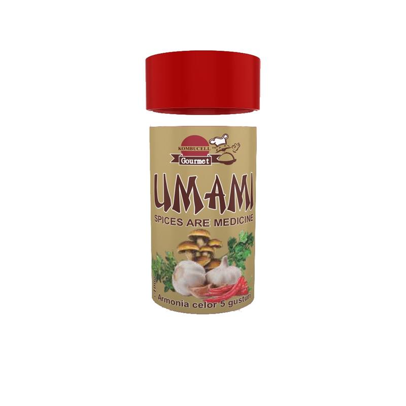 Condiment Umami 60 grame Medica