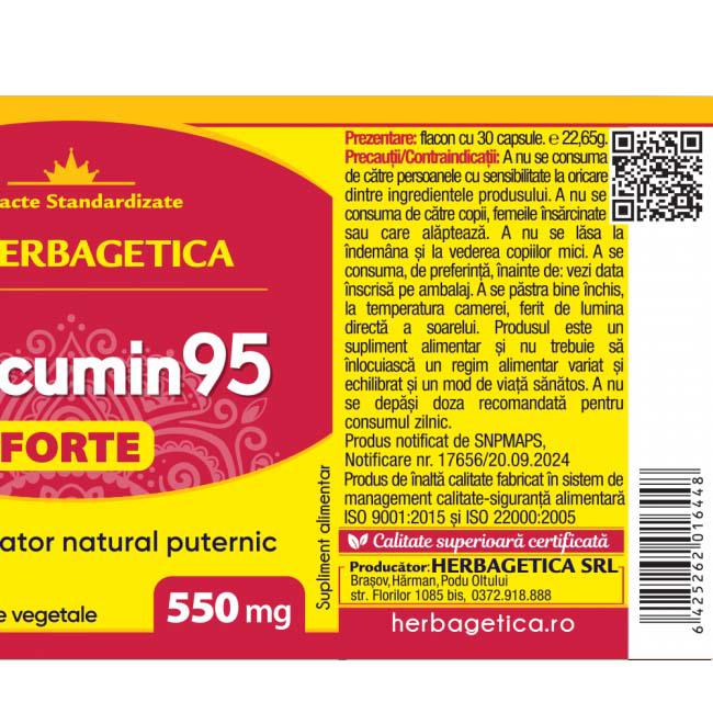 curcumin 95 forte