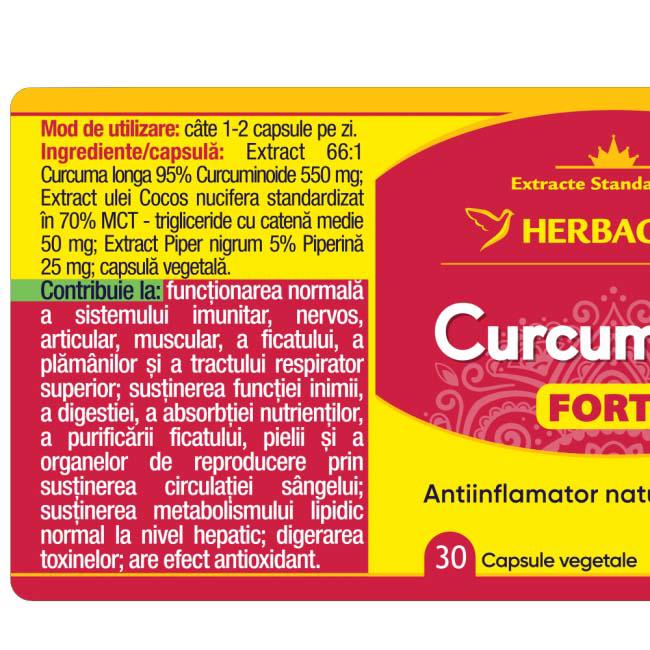 curcumin 95 forte