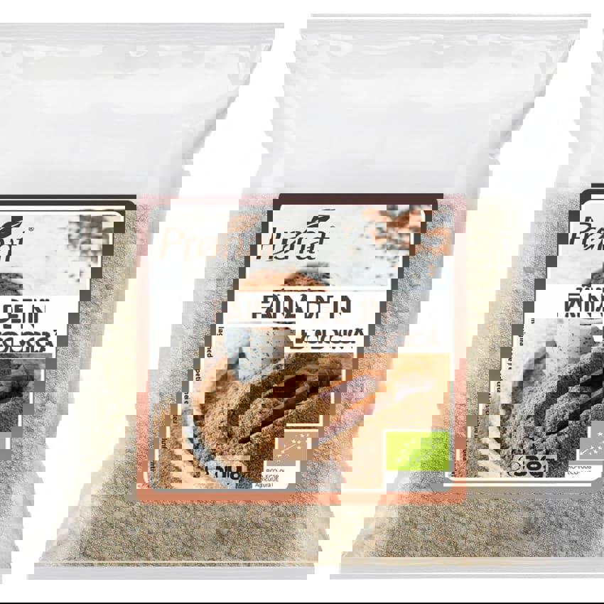 Faina din Seminte de In Bio 300 grame Pronat