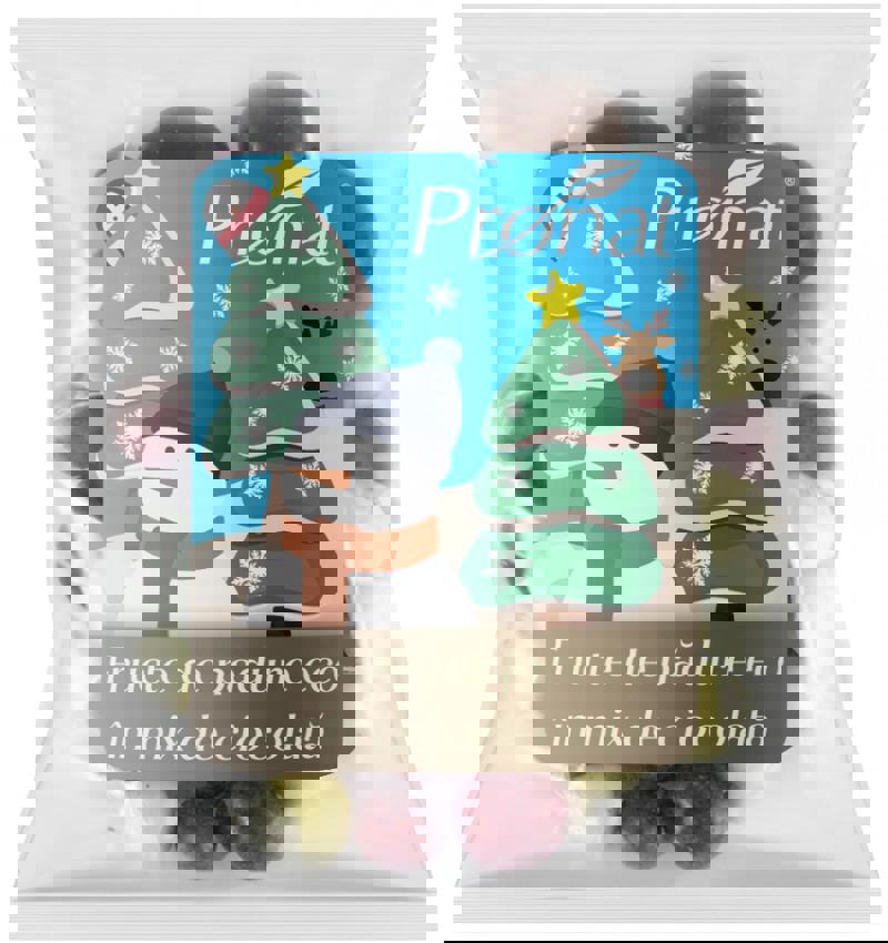 Fructe de Padure in Mix de Ciocolata Bio 50 grame Pronat