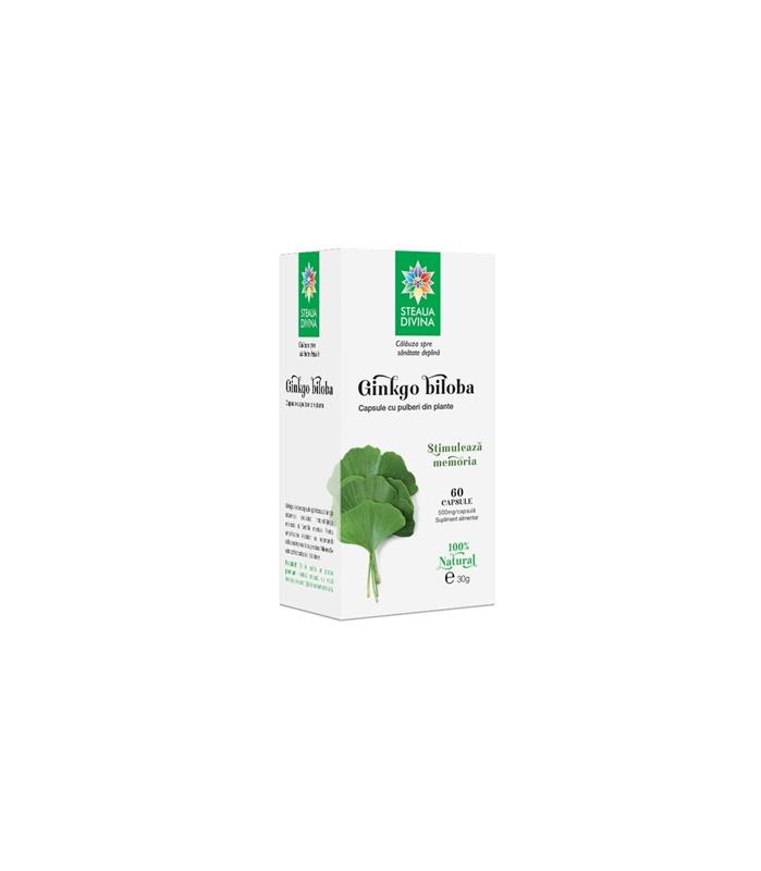 Ginkgo Biloba Santo Raphael 60cps