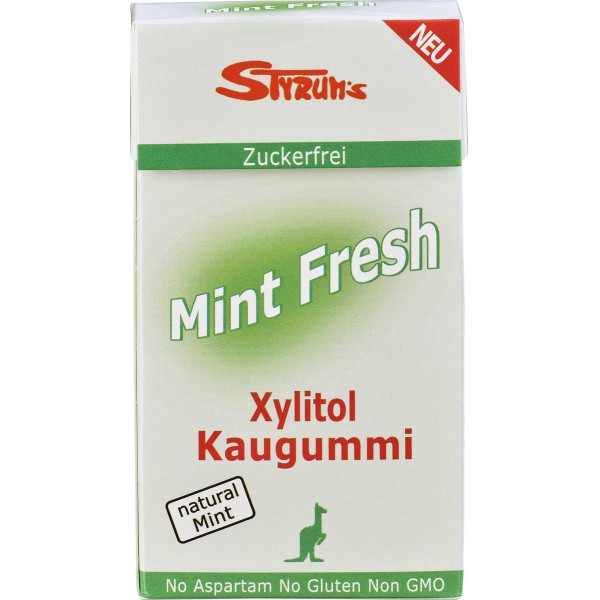 Guma de Mestecat Fara Zahar cu Menta Bio 33gr Styrums