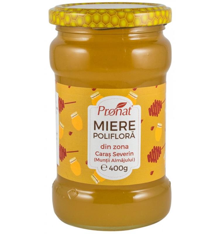 Miere Poliflora 400gr Pronat