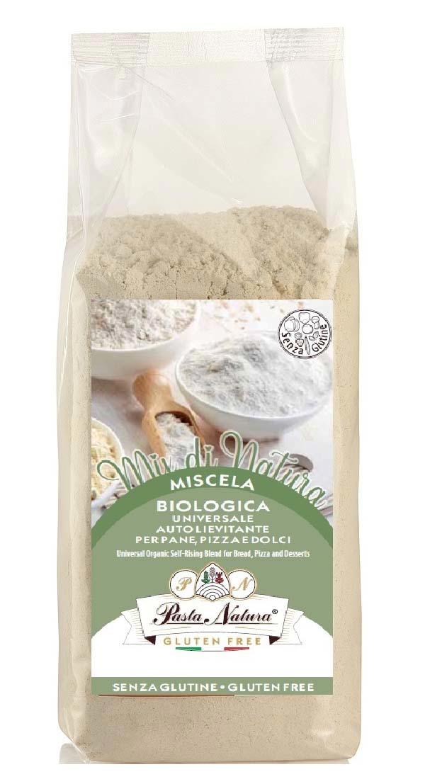 Mix de Fainuri Fara Gluten pentru Paine Pizza Deserturi cu Drojdie Eco 250 grame Pasta Natura