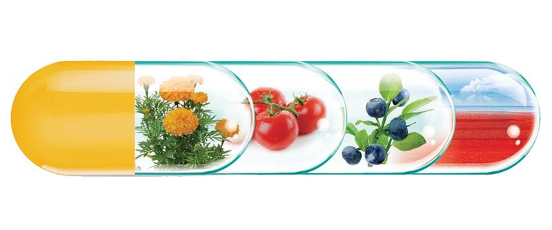 Proretin Rotta Natura 30cps