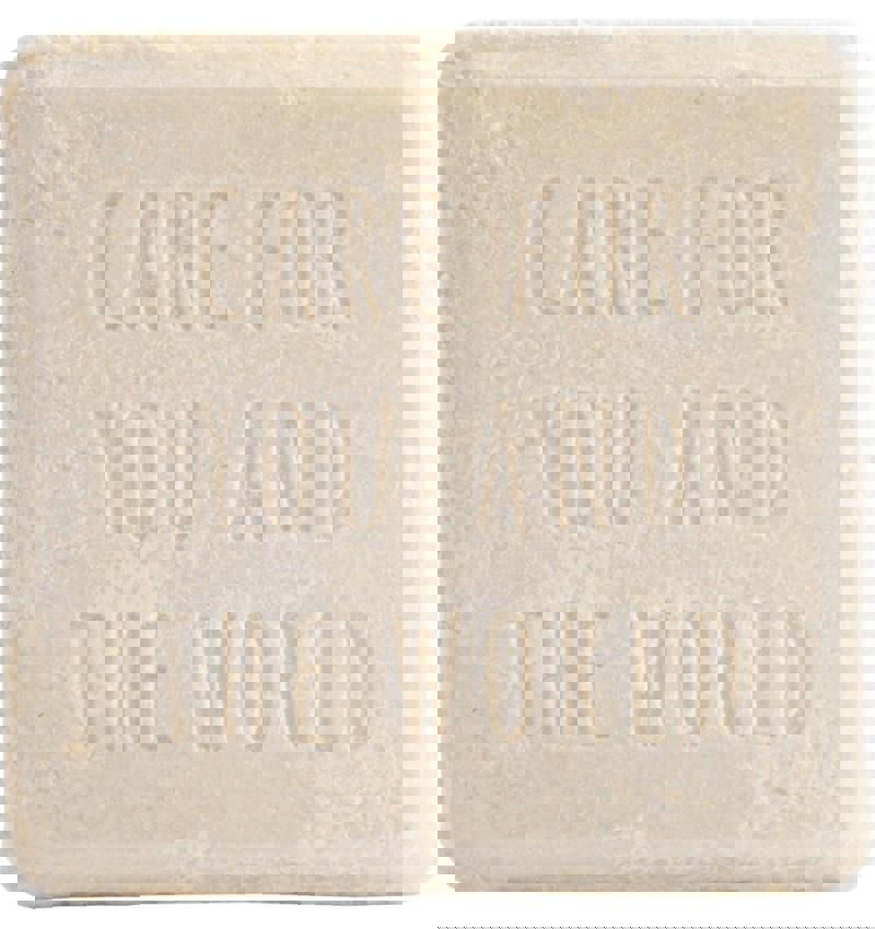 Sampon Solid pentru Ingrijirea Parului cu Mango si Aloe Vera Bio 60 grame Sante