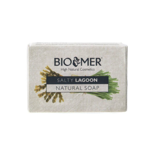 Sapun Natural Hidratant pentru Ten Uscat cu Aloe Vera 90 grame Bio Mer