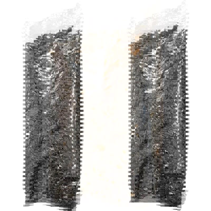 Seminte de Floarea Soarelui pentru Germinat Bio 200 grame Paradisul Verde