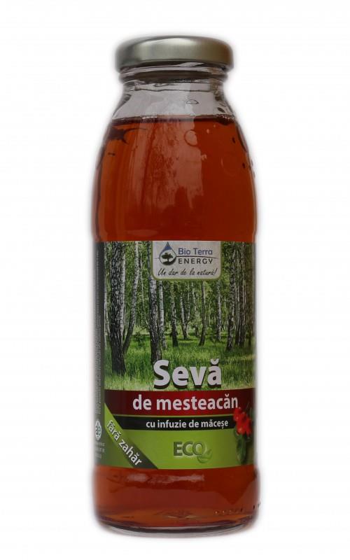 Seva de Mesteacan Bio cu Infuzie de Macese Dietetic Bio Terra Energy 300ml