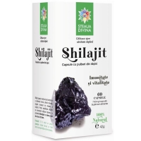 Shilajit 500 miligrame 60 capsule Santo Raphael