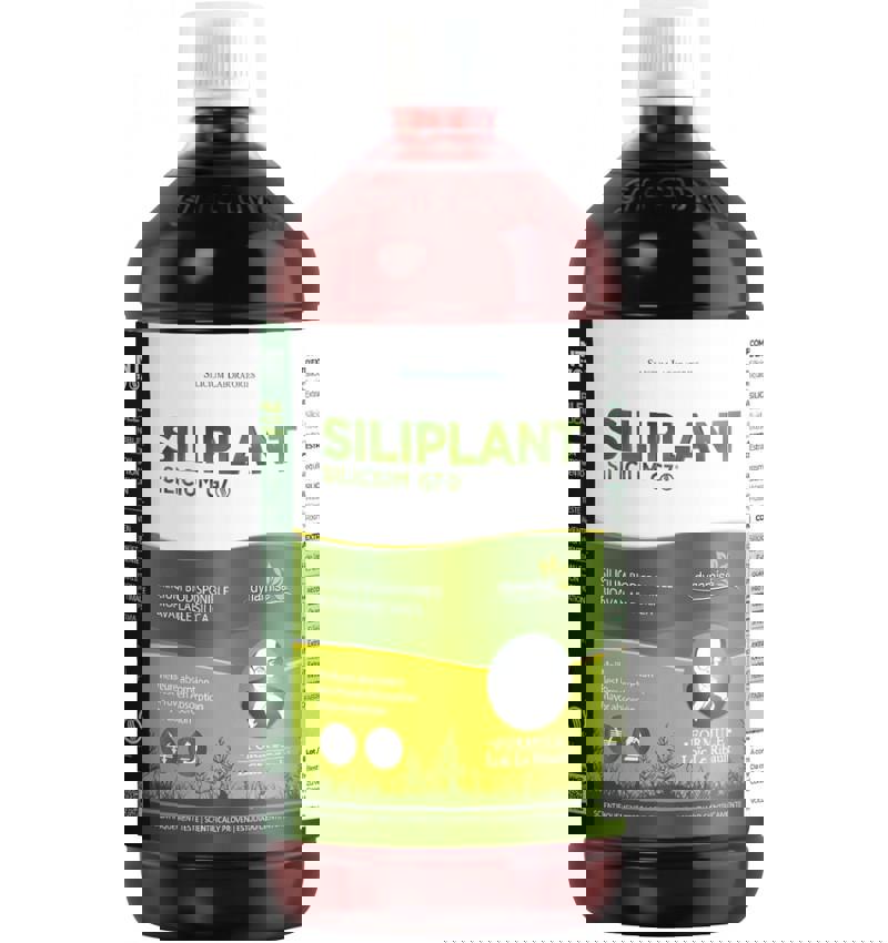 Siliciu G7 Siliplant Siliciu Organic Extras din Planta Coada Calului 1000 mililitri Siliplant