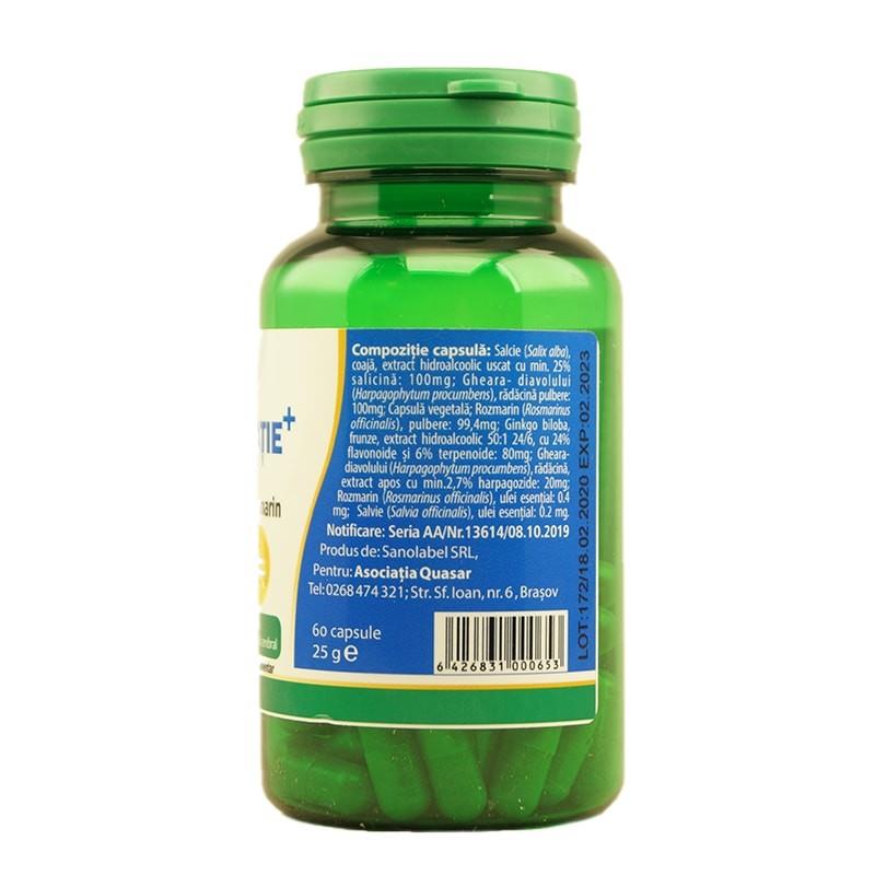 Supliment Alimentar Q-Circulatie cu Ginkgo Biloba si Rozmarin 60 capsule Kotys