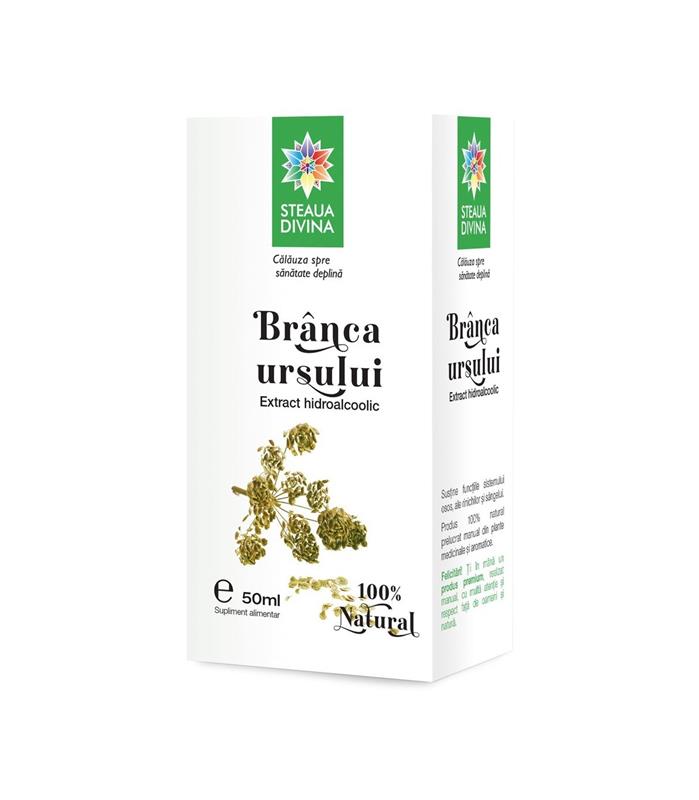 Tinctura Branca Ursului Santo Raphael 50ml