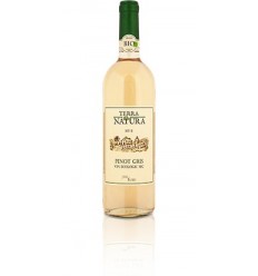 Vin Bio Pinot Gris Pronat 750ml