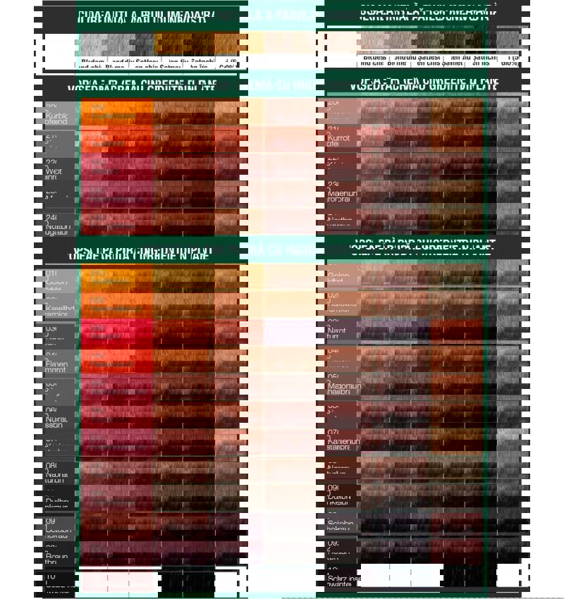 Vopsea de Par Crema Saten Nougat Caramel 240 150 mililitri Logona
