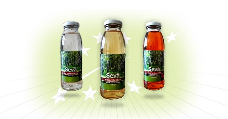 Beneficiile miraculoase ale sevei de mesteacan