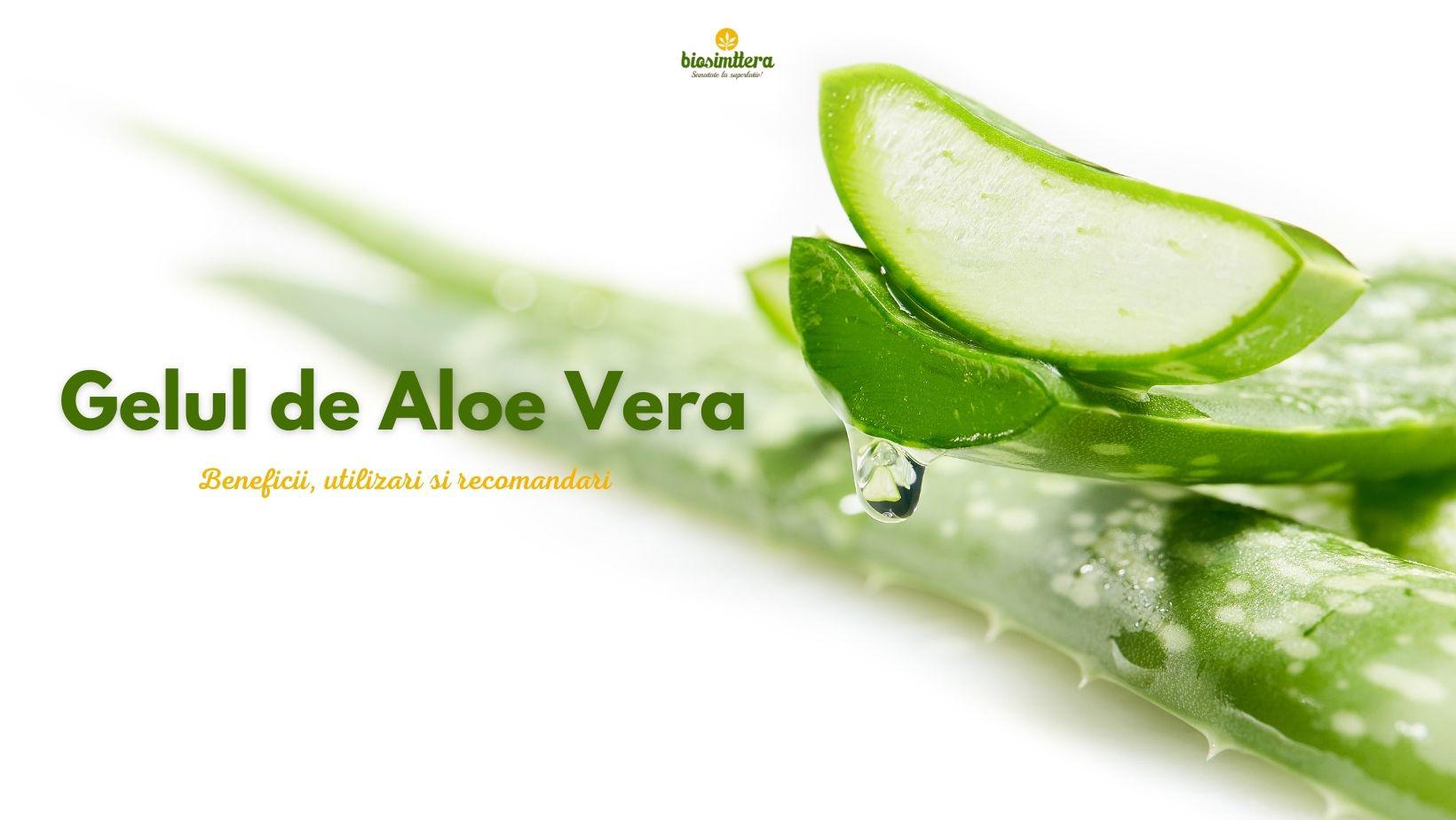 Gelul de Aloe Vera – Beneficii, utilizari si recomandari 