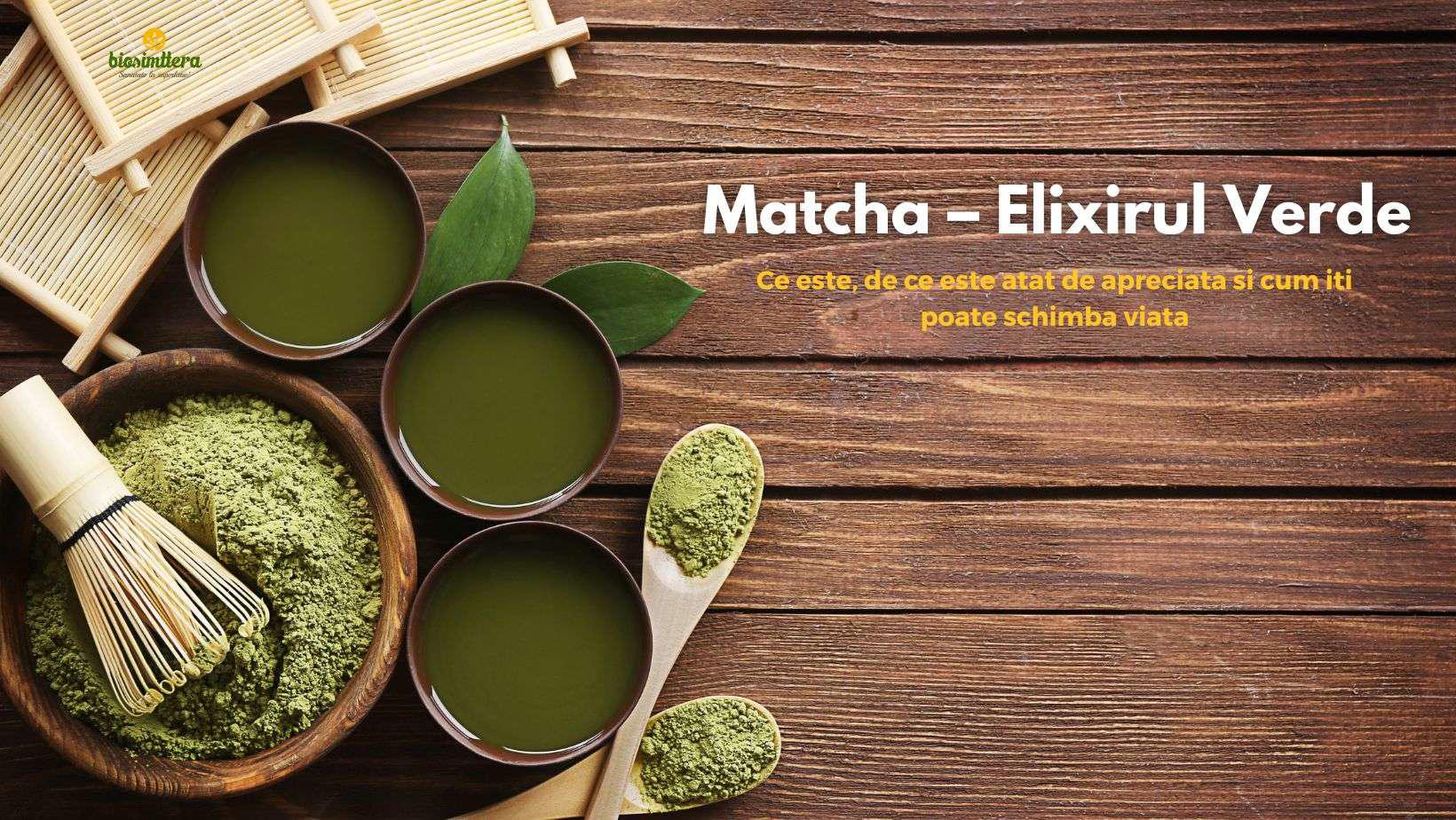 Matcha – Elixirul Verde: Ce este, de ce este atat de apreciata si cum iti poate schimba viata 